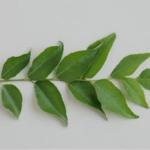 curry Leaves (50g)