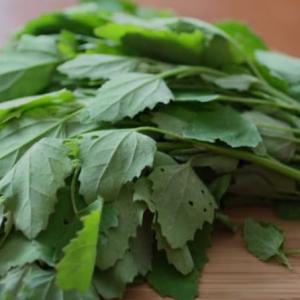 Chenopodium (bathua) 500 g