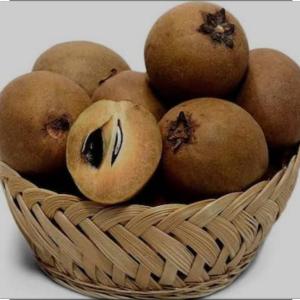 Chikoo(sapota) 1 kg