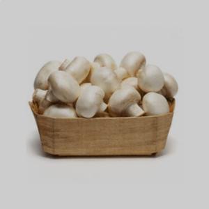 button mashroom (500g)