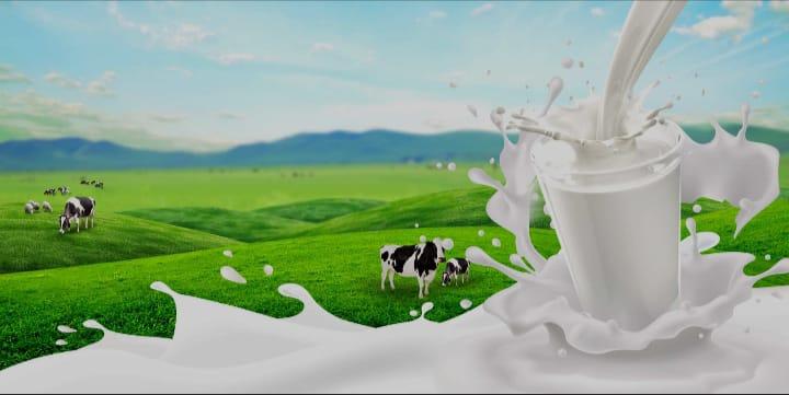 MILK PRODUCT