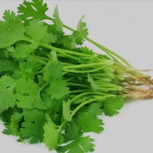 coriander 250 gm