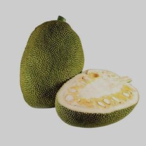 jackfruit 250 gm