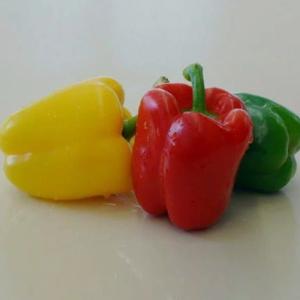 mix capsicum 500 gm