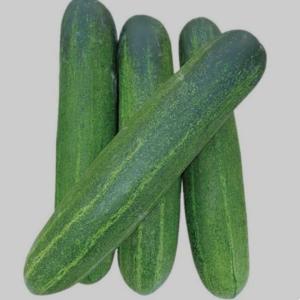 cucumber  1 kg