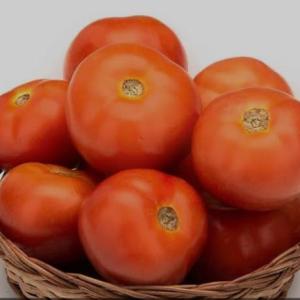 Tomato 1 kg