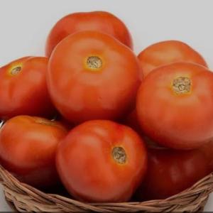 Tomato 500gm