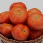Tomato - 5 kg