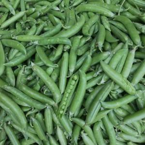 pea 250gm
