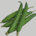 sponge gourd 500 gm